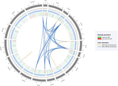 Comprehensive Analysis of Replication Origins in Saccharomyces cerevisiae Genomes